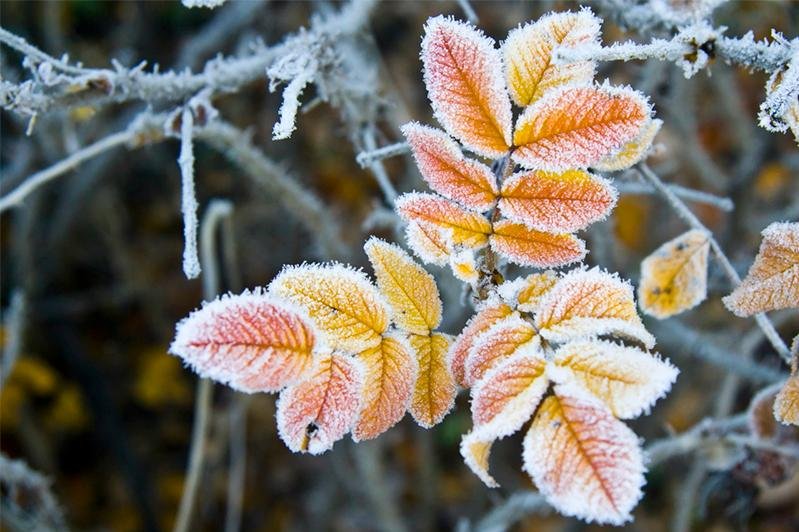 До 6 градусов мороза ожидается в Казахстане 