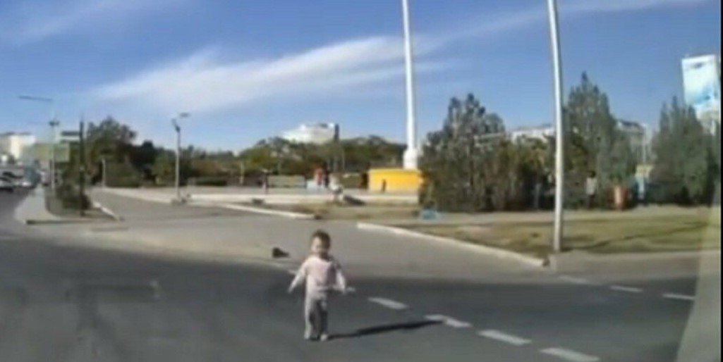 Одинокий малыш выбежал на дорогу в Актау