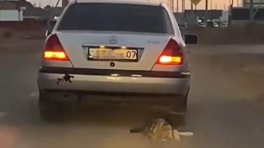 Привязанную к машине собаку протащили по улицам Уральска 
