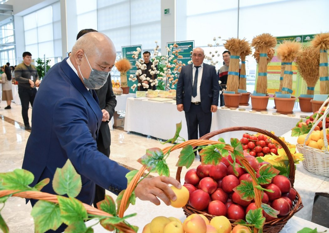 Туркестан: В Туркестанской области собран рекордный урожай