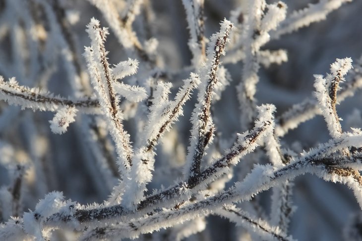 Морозы до 33 градусов ожидаются в Казахстане