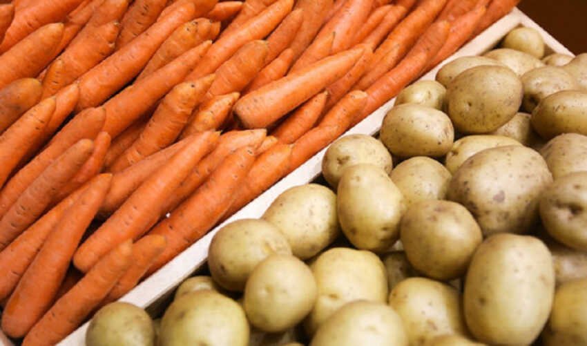Запрет на вывоз картофеля и моркови сняли в Казахстане