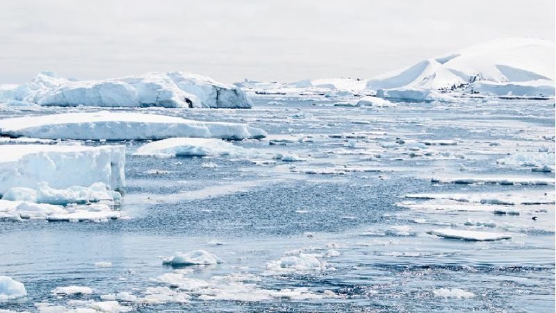 Соңғы 18 жылда Арктиканың 30% мұзы еріп кеткен – ғалымдар