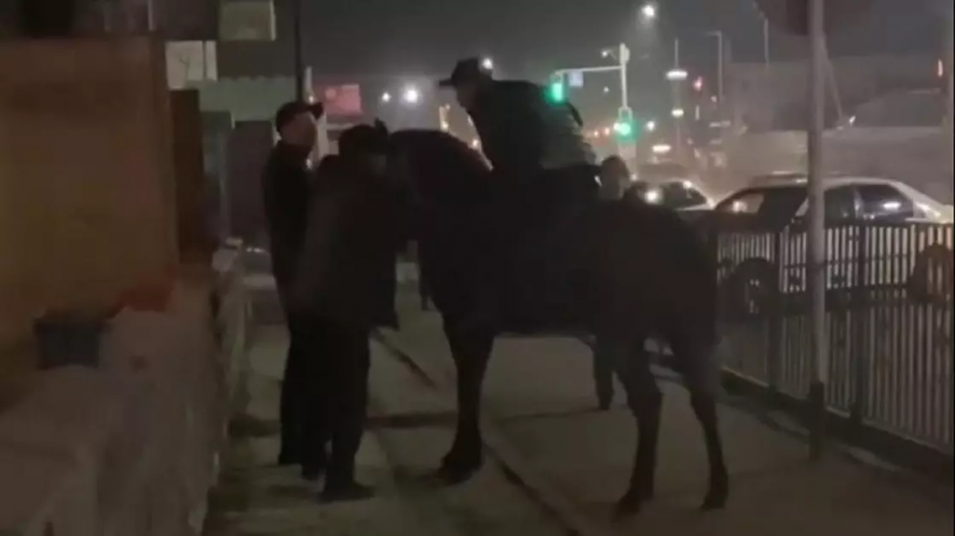 Пьяный мужчина на лошади приставал к прохожим, размахивая кнутом в центре Талгара