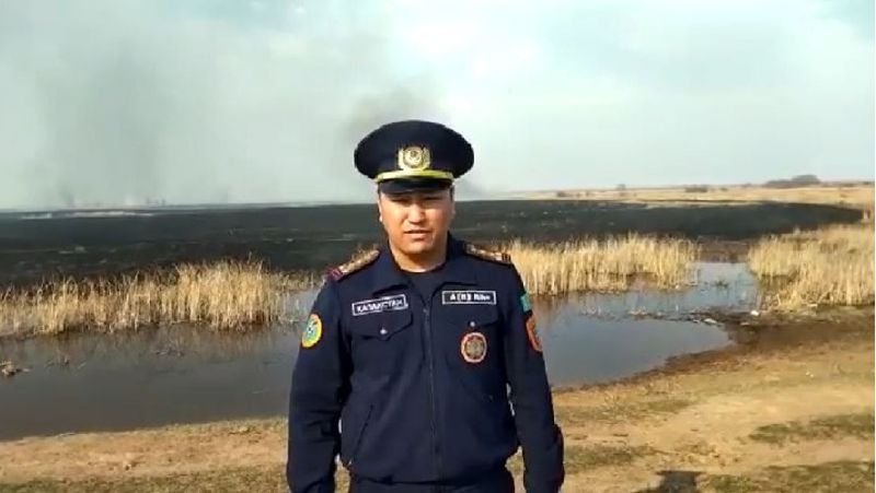 Павлодар облысындағы елді мекендер маңындағы дала өртінің видеосы жарияланды