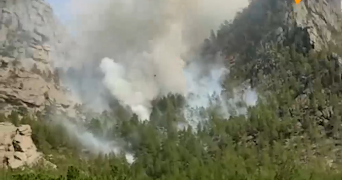 Пожар в Баянаульском национальном парке взят под контроль – видео