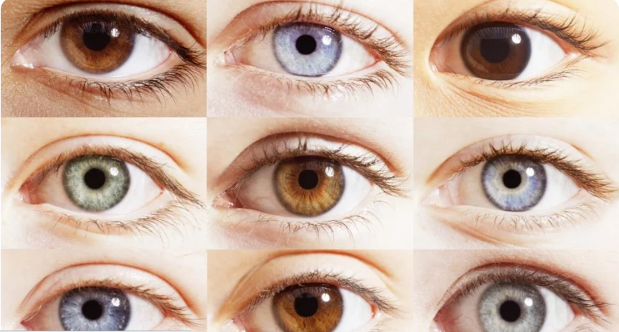 Влияние цвета глаз на развитие определенных болезней объяснила врач